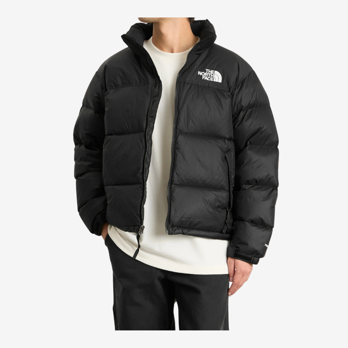 The North Face 1996 Retro Nuptse 700 Down Jacket – Black